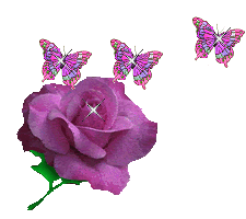 Pink Rose and Three Butterflies