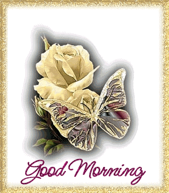 Good Morning With Lovely Rose