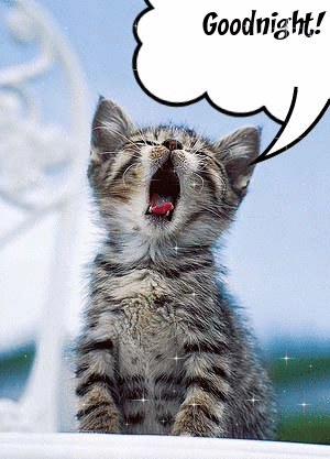 Cat Yawning