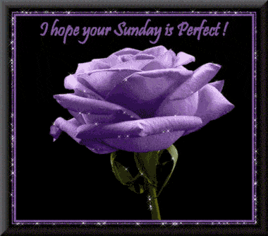 Hope Your Sunday Be Perfect
