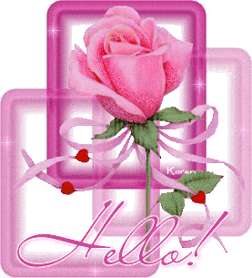 Beautiful Pink Rose Hello