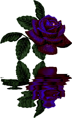 Glittering Blue Rose Reflection