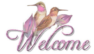 Bird Couple - Welcome Glitter