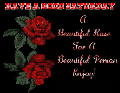 Have A Good Saturday With Beautiful Rose