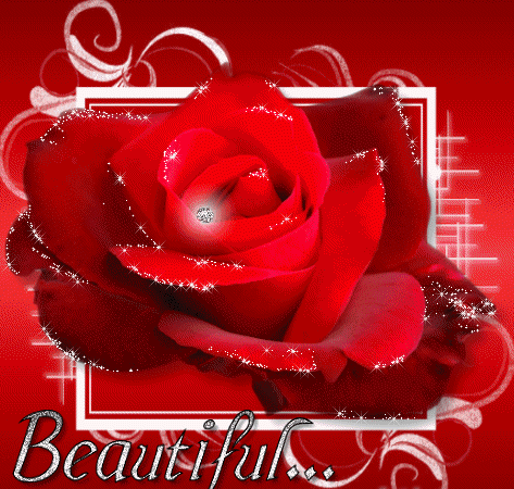 Beautiful Glittering Rose