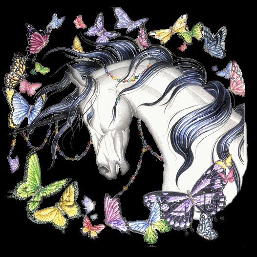 Butterfly Unicorn Glitter