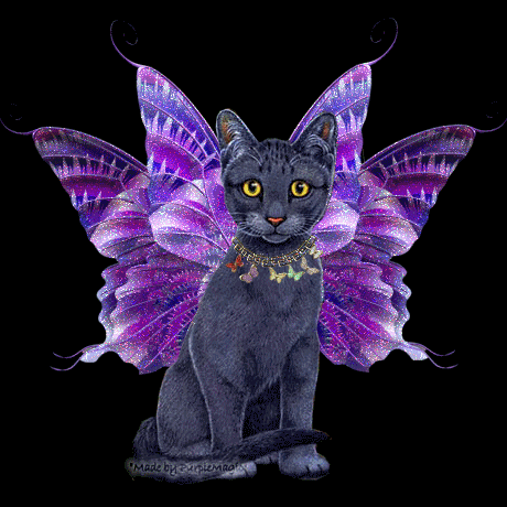 Glitter Butterfly Cat