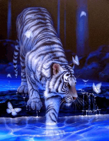 White Tiger With Glittering Butterfly