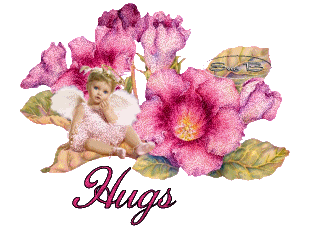 Hugs Flowers Pink Angel Baby Glitter
