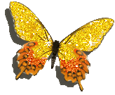 Golden Glittering Butterfly