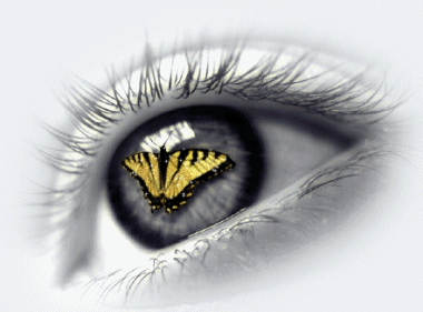 Butterfly In A Eye