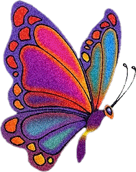 Shimmering Butterfly