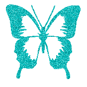 Greenish Butterfly Graphic