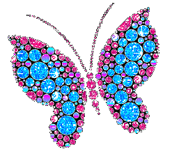 Shape Of A Butterfly