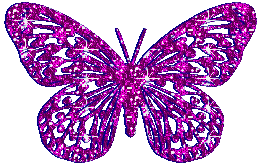 Gaudiness Butterfly