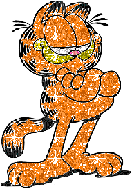 Garfield Glittering Graphic