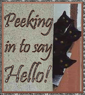 Peeking In To Say Hello