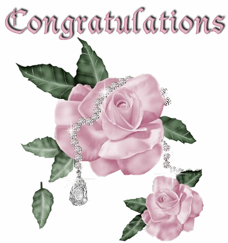 Rose Congratulations