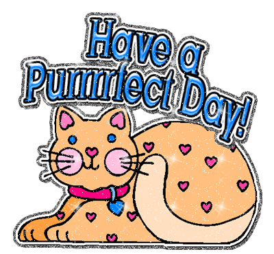 Have A Purrfect Day
