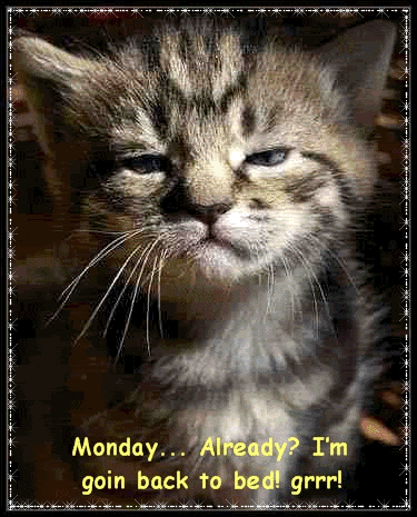 Monday Already