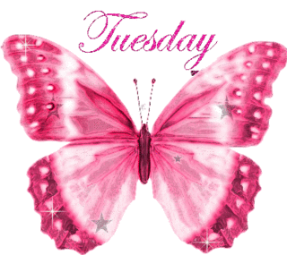 Butterfly Tuesday Glitter