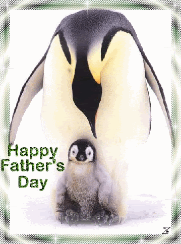 Penguin Father And Daddy