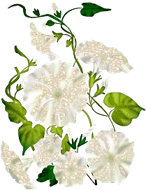 Glimmering Flowers Graphic