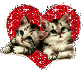 Friends - Two Kittens