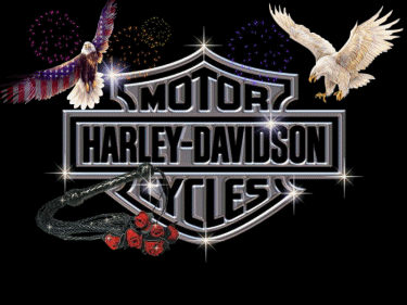 US National Symbol - Harley Davidson