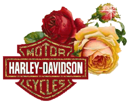 Glittering Roses - Harley Davidson