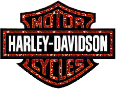 Beaming Harley Davidson Graphic