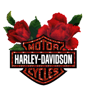 Red Roses - Harley Davidson