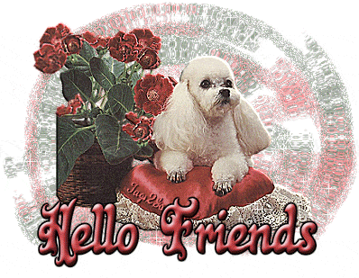 Cut Puppy - Hello Friends