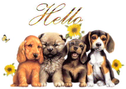 Dogs Saying Hello