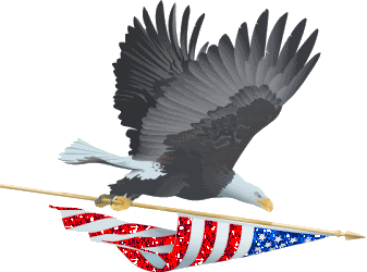 Eagle With US Flag