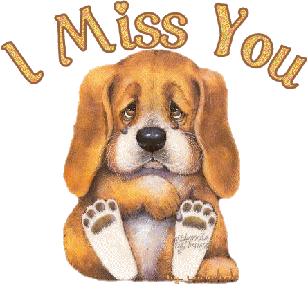Puppy Crying - Miss You Graphic
