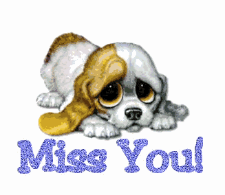 Puppy - Miss You