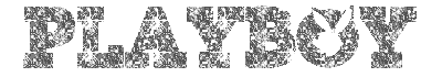 Silver Playboy Graphic