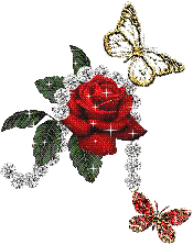 Diamond Necklace On Rose
