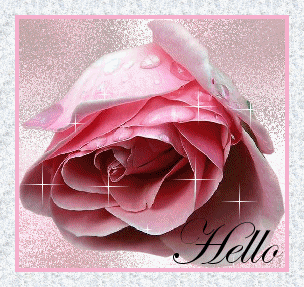 Sparkling Pink Rose Hello