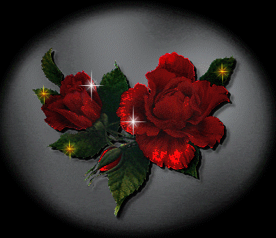 Shimmering Rose Graphic