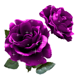 Purple Rose - Symbol Of Enchantment