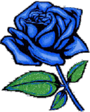 Glistering Blue Rose Graphic