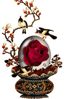 Birds Want Red Rose