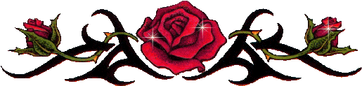 Magic Of Red Rose