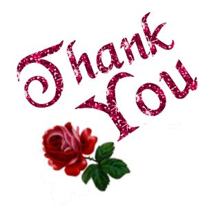 Thank You With Red Rose