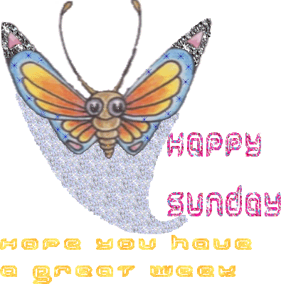 Happy Sunday Glitter Butterfly Image