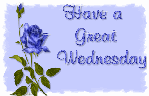 Have A  Great Wednesday With Shining Blue Rose