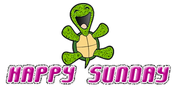 Happy Sunday Pink Glitter Tortoise Graphic