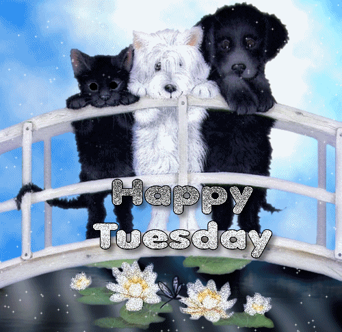 Happy Tuesday Dog And Cat Glitter